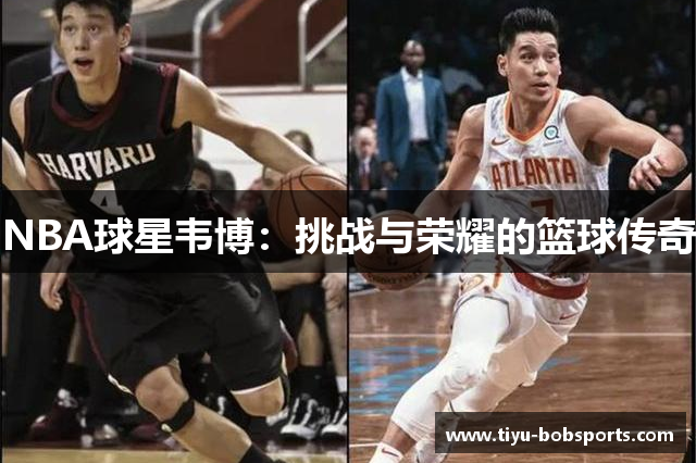 NBA球星韦博：挑战与荣耀的篮球传奇