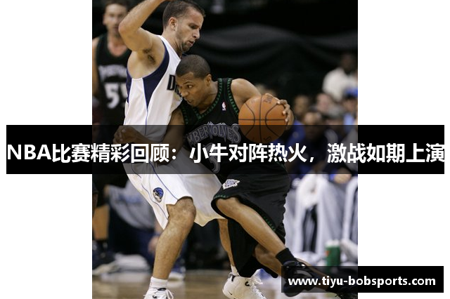 NBA比赛精彩回顾：小牛对阵热火，激战如期上演